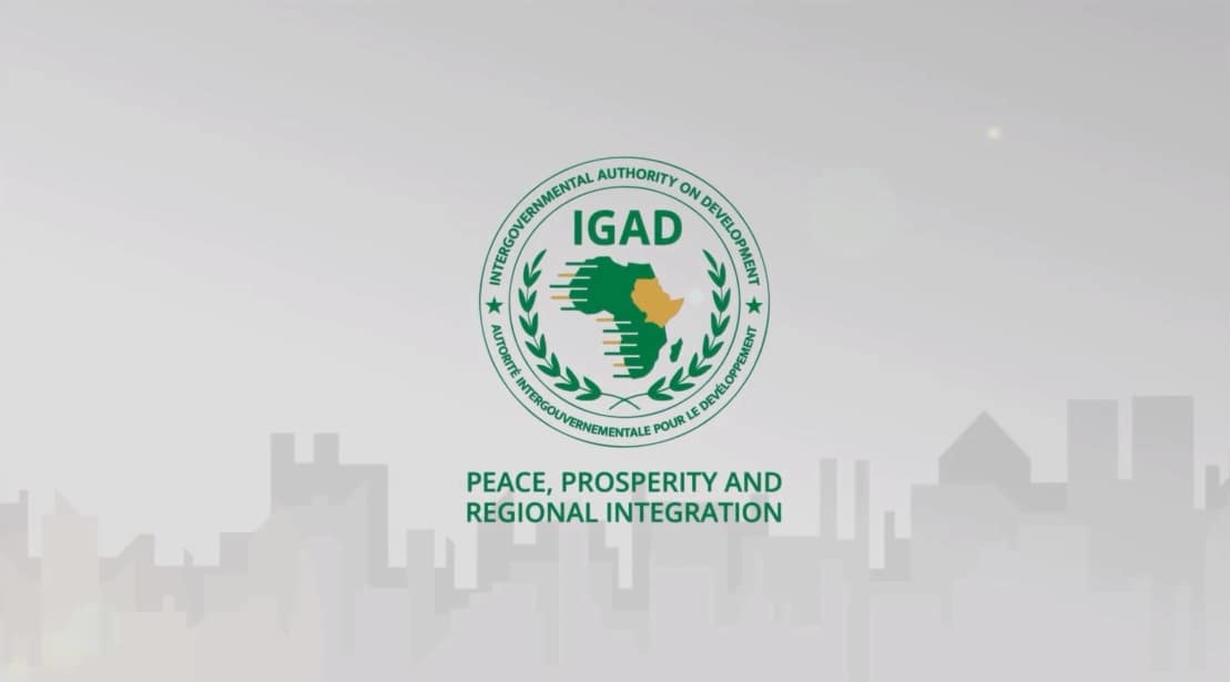 Strategic Communications Agency 30 IGAD 3rd Conference