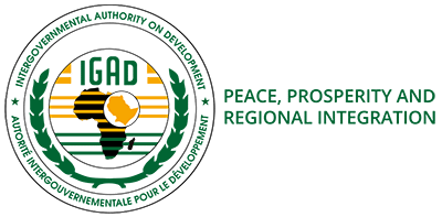 Strategic Communications Agency 46 igad