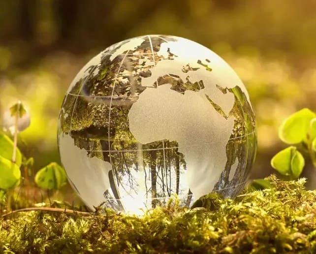 What is Admedia Impact